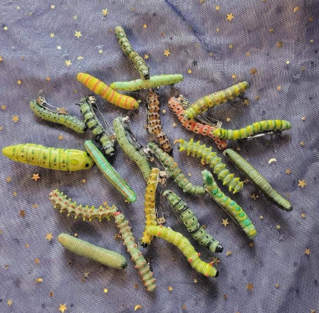 Eccentric And Creative Caterpillar Hair Clip Set
