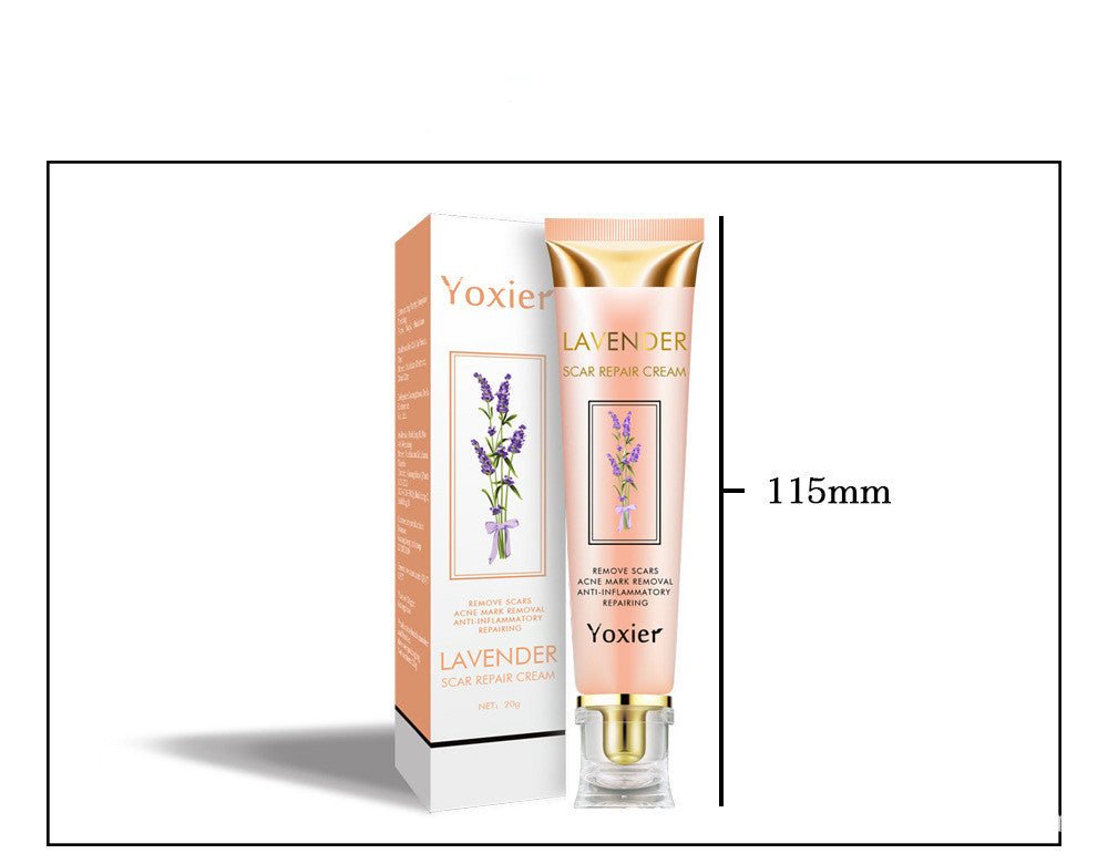 Lavender Scar Repair Cream