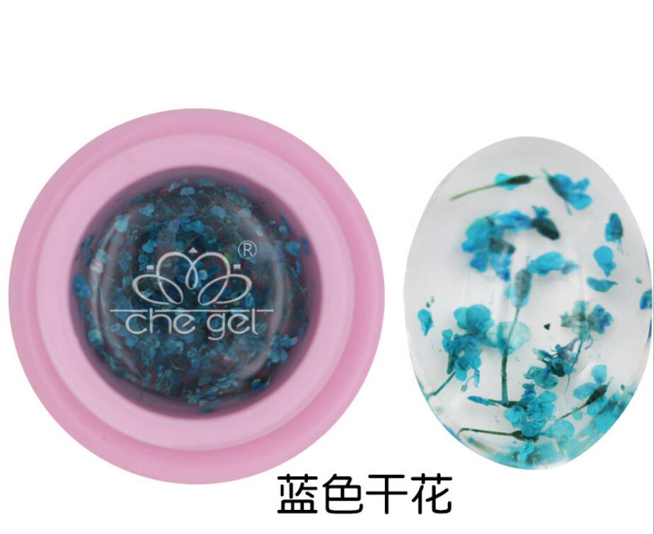 Che Gel Floraland Dried Flower Fairy Nail Gel