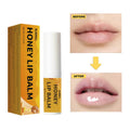 RUBRIEL Honey Lip Balm 5G Nourishing And Hydrating