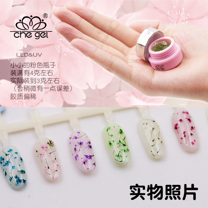 Che Gel Floraland Dried Flower Fairy Nail Gel