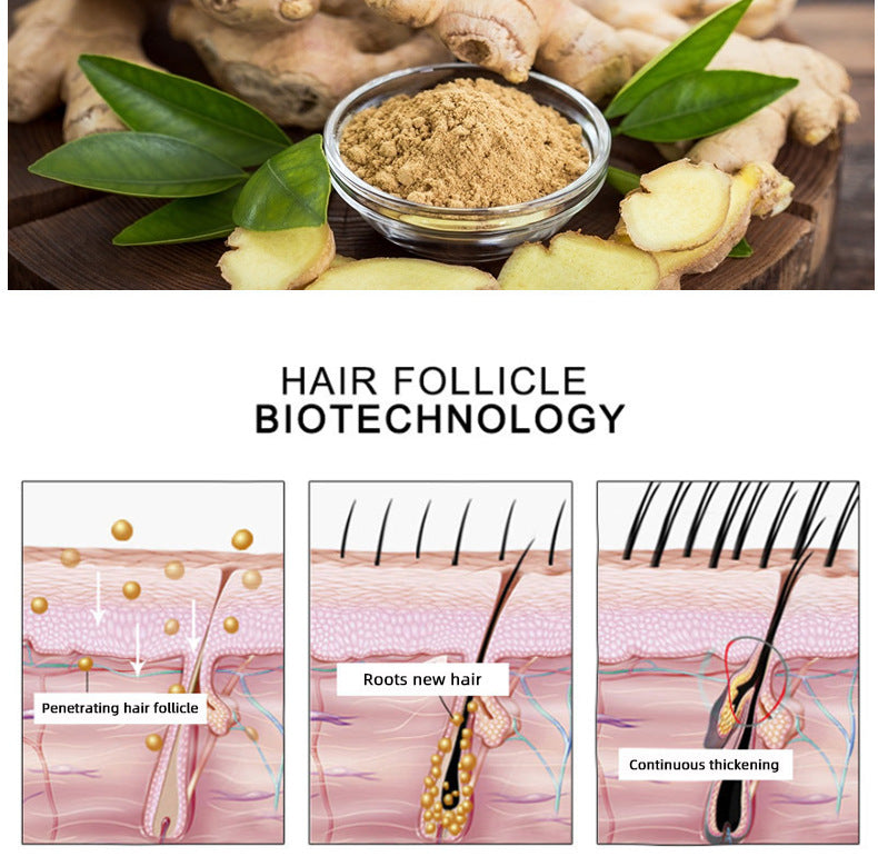 GZBITYHN Hair Growth Oil Hair Growth Oil Oem Hair Care Essential Oil