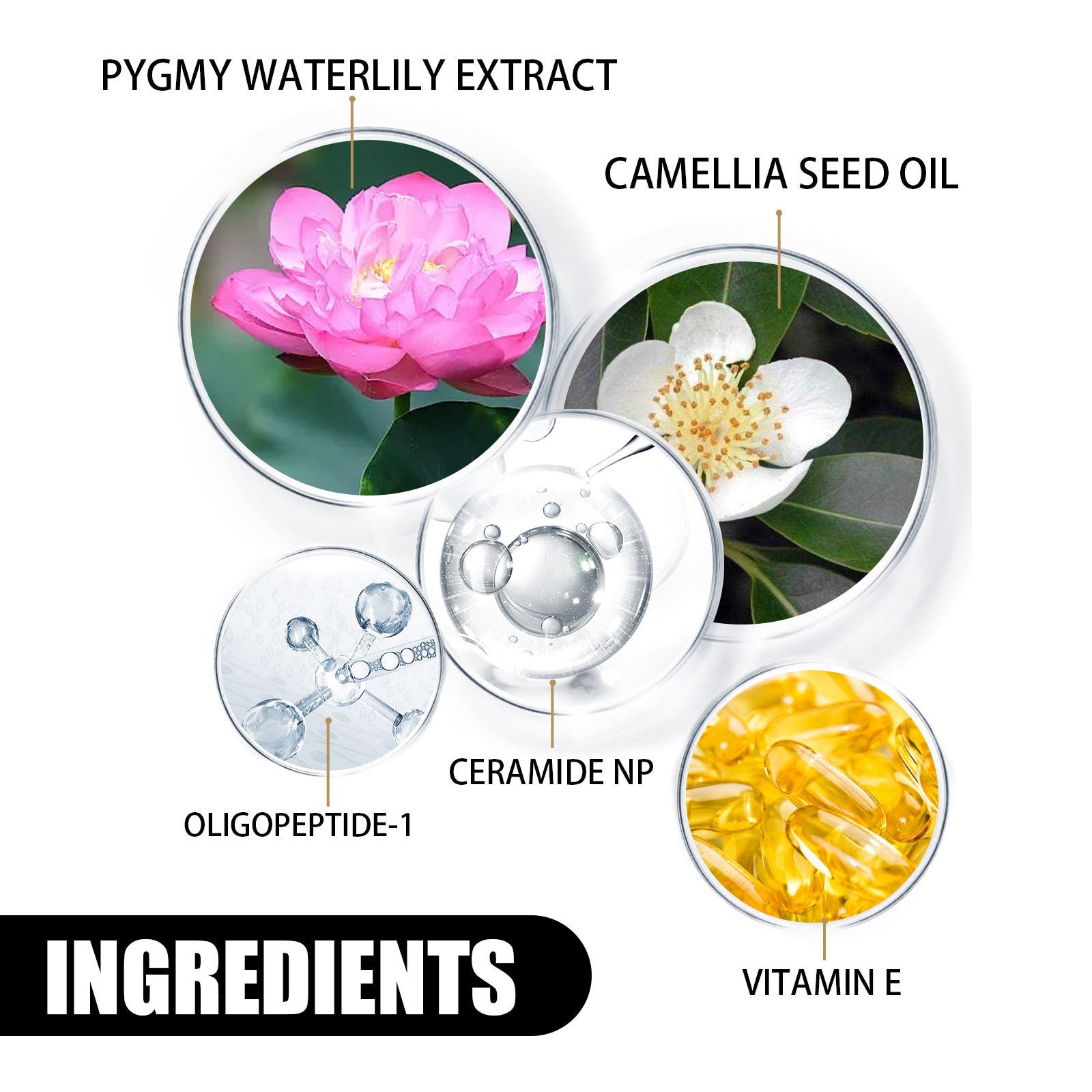 Nourishing Moisturizing Skin Rejuvenation Skin Cream Skin Brightening Whitening Hydrating Easy Absorption Cream