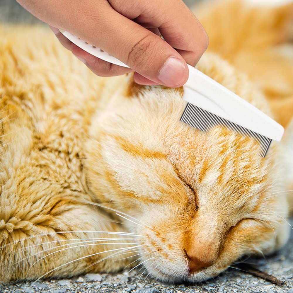 Multifunctional Pet Comb Tear Stain Removal Comb Magic Pets Grooming Comb Kit For Small Dogs Puppies  Pet Grooming Brush Fine-Tooth Stainless Grooming Massage Comb