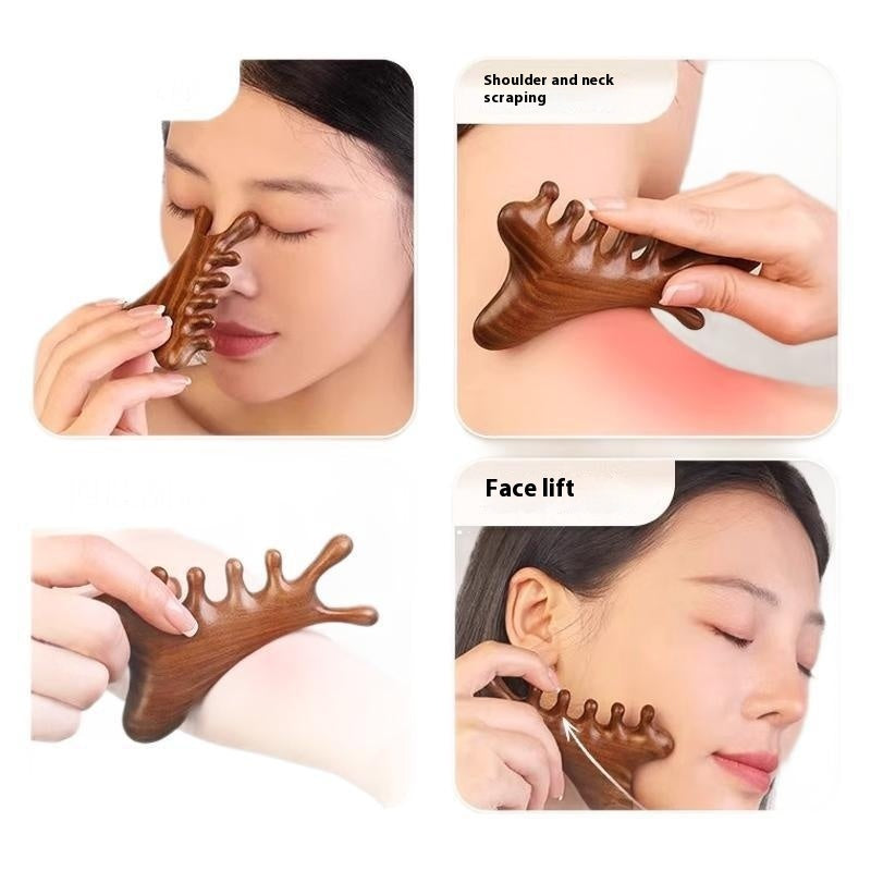 Multifunctional Scalp Massage Comb Head Hair Loss Head Treatment Dredging Meridian Scraping Instrument