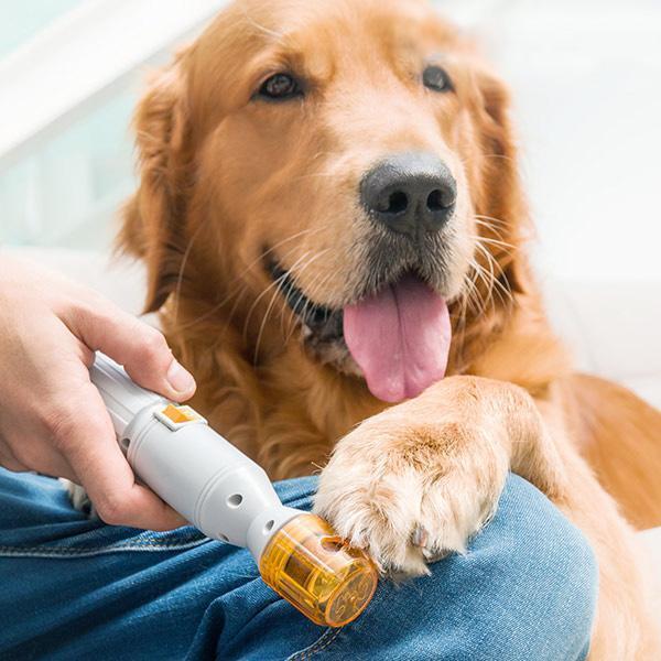 Pedicure Nail Trimmer Cat Claw Scissors Electric Pet Nail Grinder Professional Dog Supplies Dog Nail Clippers
