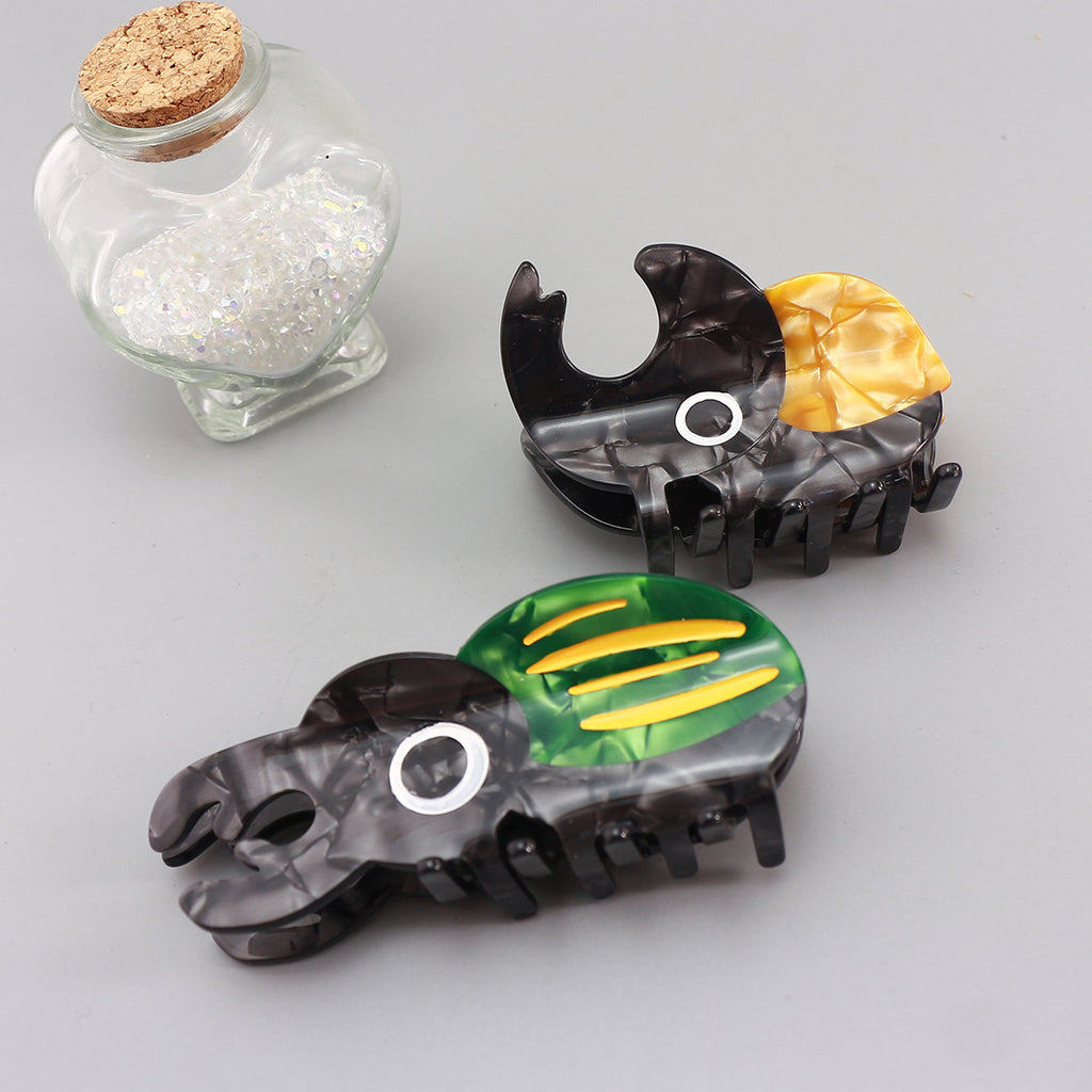 Cellulose Acetate Sheet Insect Biology Beetle Grip