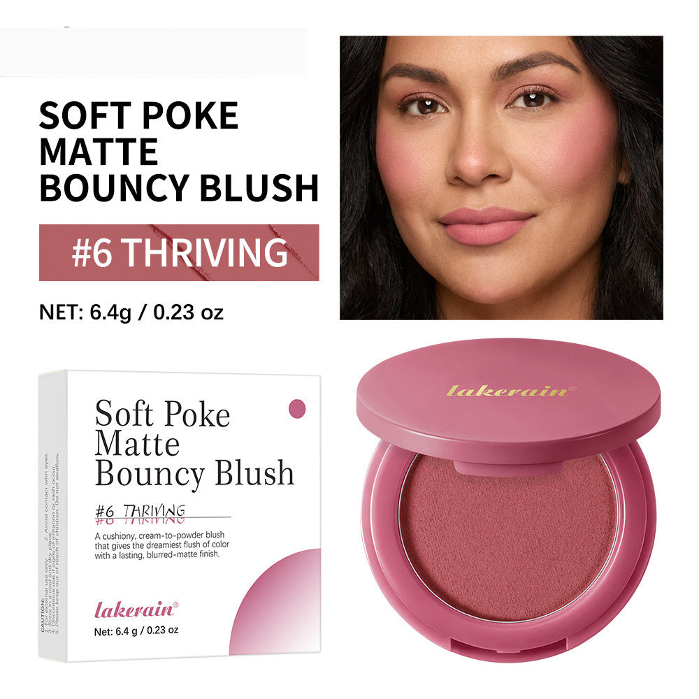 Lakerain Contouring Concealing And Blush Powder In One