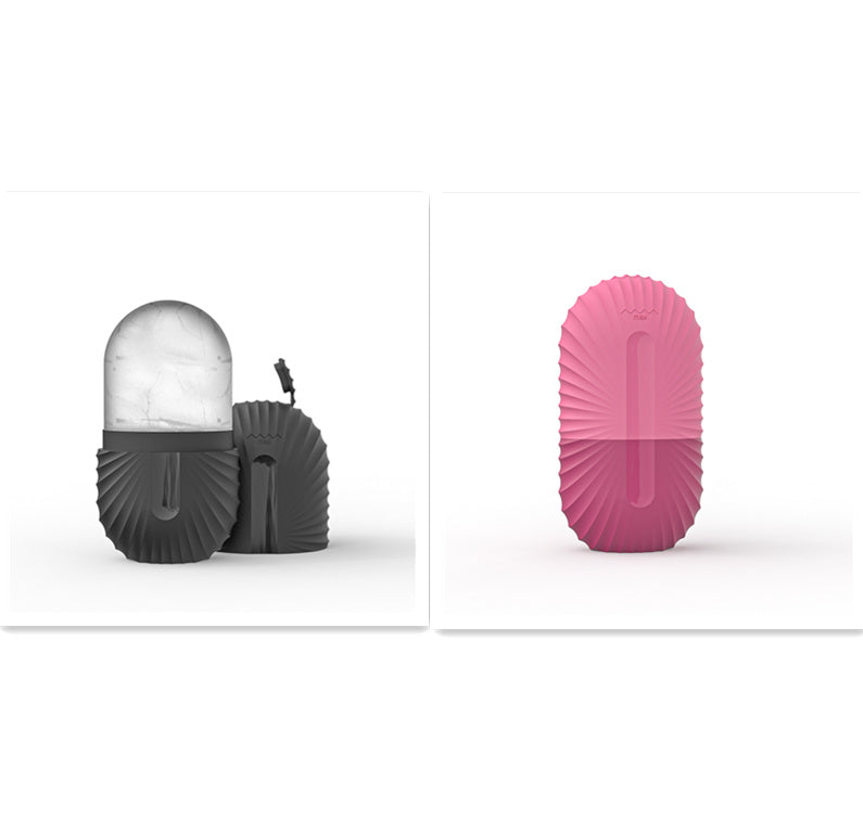 Beauty Supplies Facial Massage For Face Ice Tray