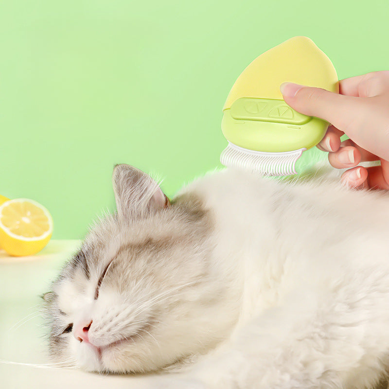 Double-Headed Pet Comb Mini Portable Pet Comb With Lid Brush Massage To Remove Floating Hair Two-Headed Comb Pet Cats And Dogs