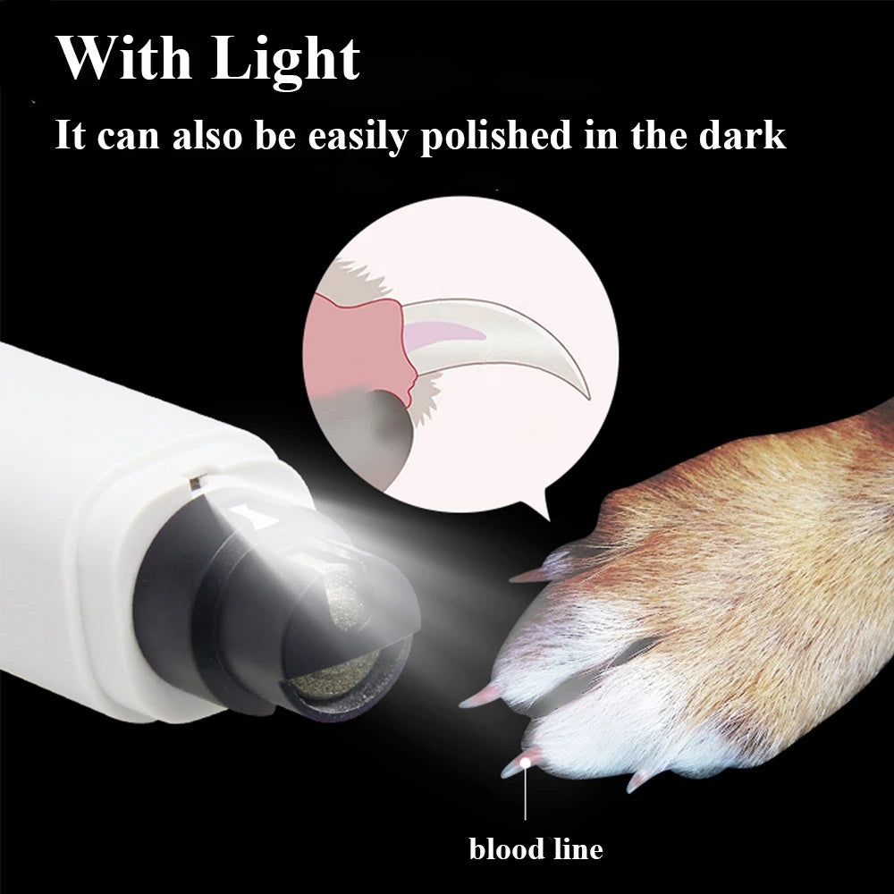 Household Cat With Lamp Nail Polisher