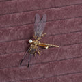 European Golden Dragonfly Side Clip Headdress