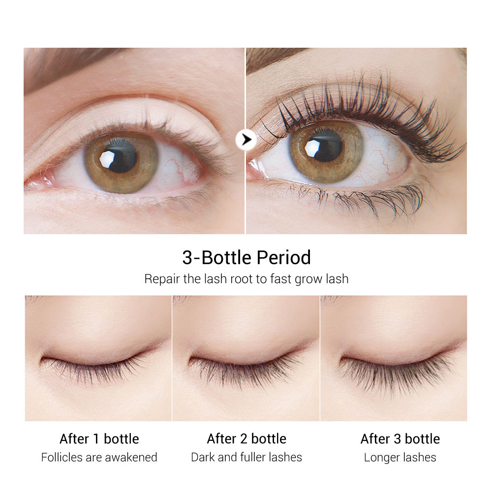 Curly, Dense And Long New Packaging Mascara