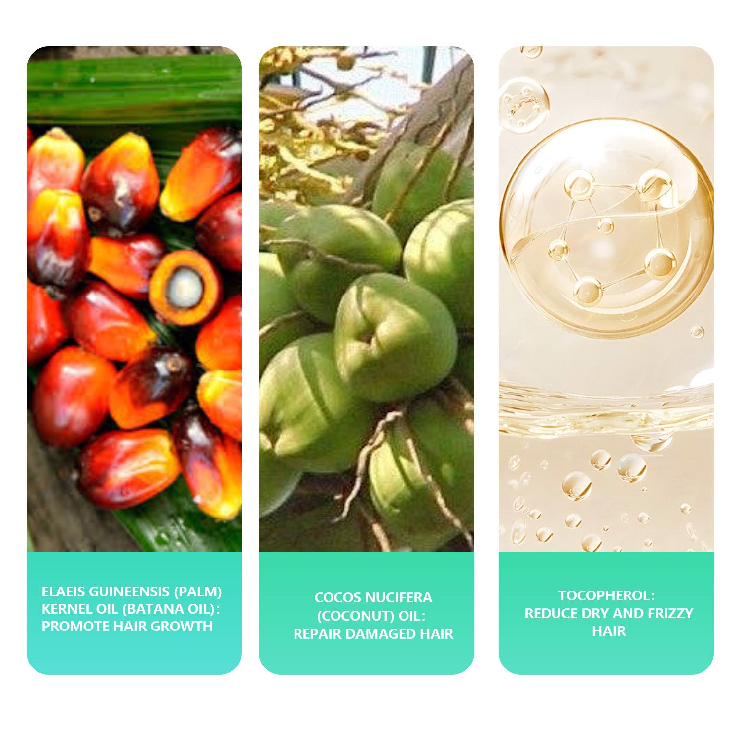 Batana Oil Herbal Fragrance Handmade Shampoo Soap