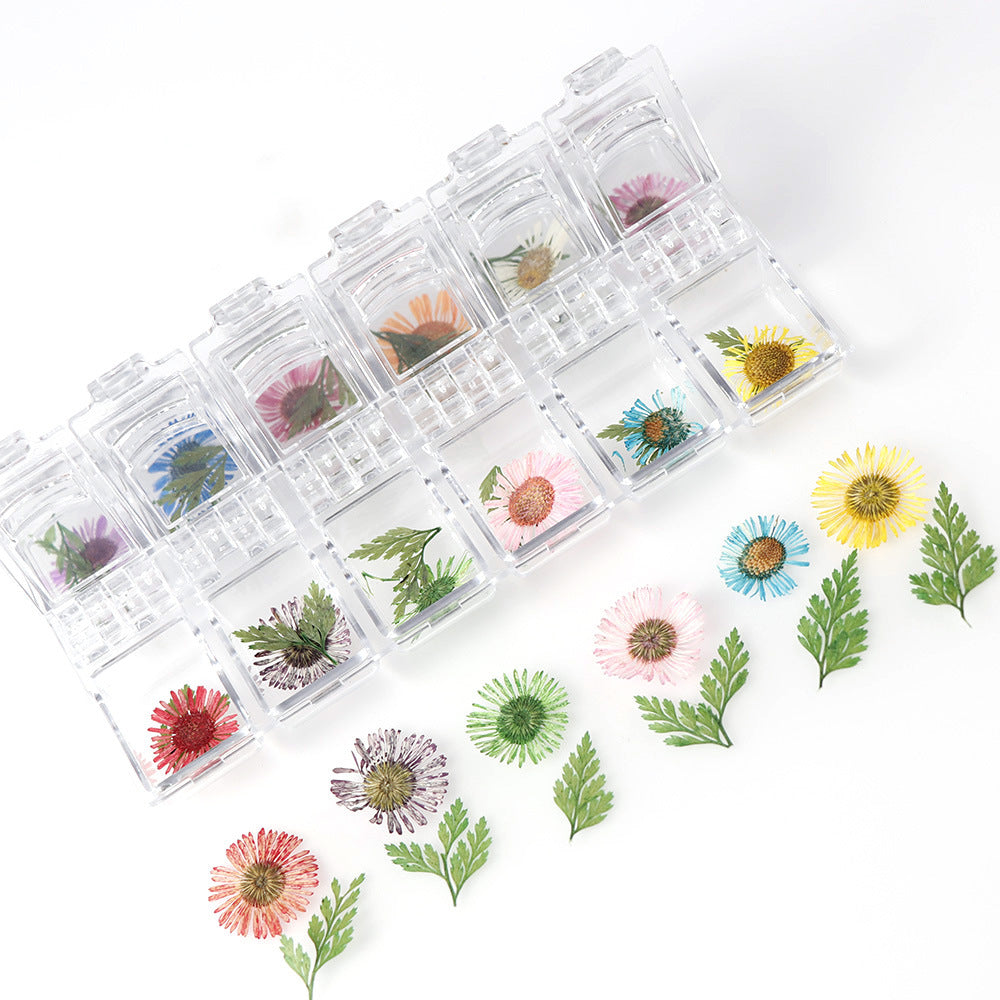 Nail Accessories Handmade DIY Nail Patches With Dried Flowers