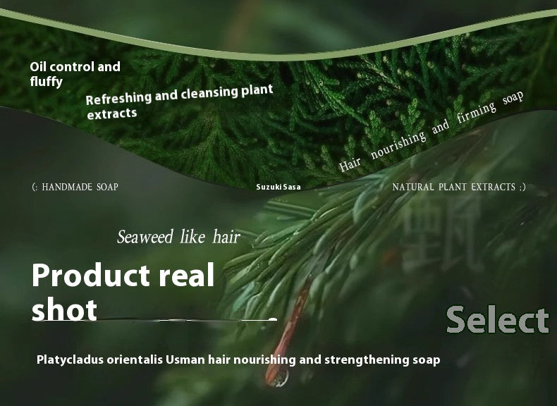 Chinese Arborvitae Twig Shampoo Soap Handmade Soap Polygonum Multiflorum Hair Care