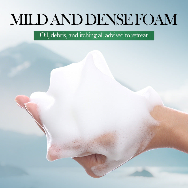 Garlic Mite-Removal Soothing Shampoo For Deep Cleansing