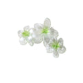 Pearlescent Plumeria Rubra Barrettes Updo