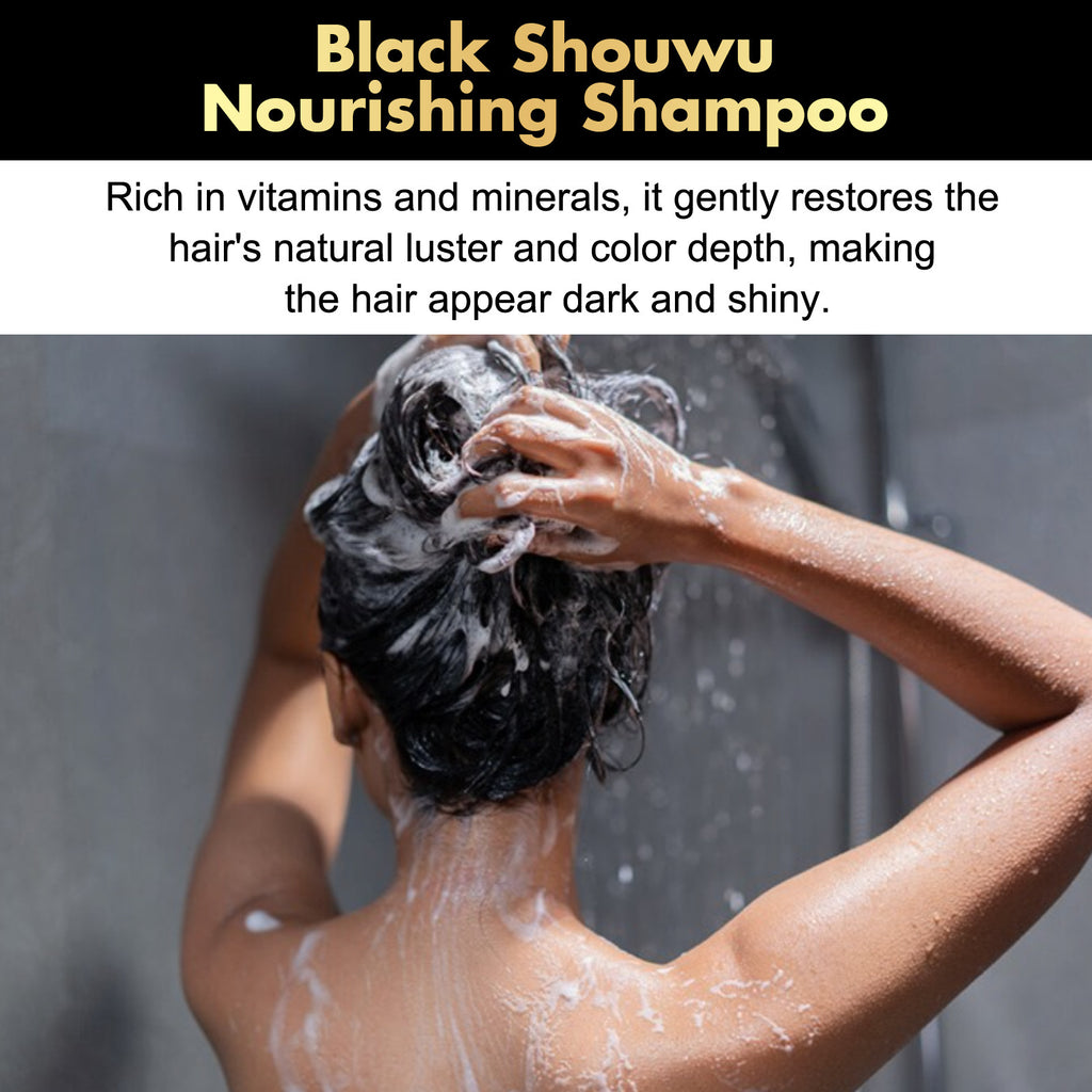 Eelhoe Black Ganoderma Lucidum Polygonum Multiflorum Shampoo