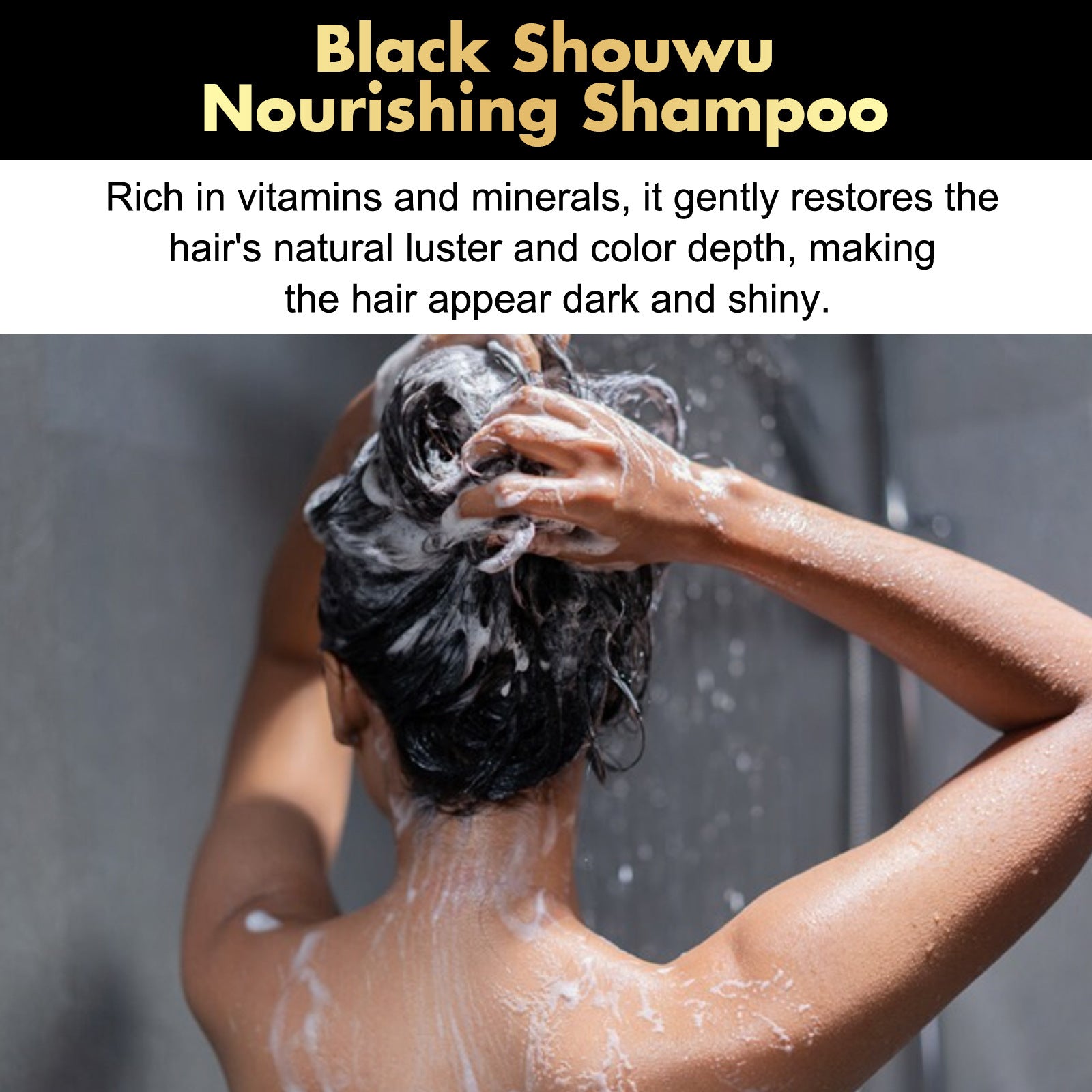 Eelhoe Black Ganoderma Lucidum Polygonum Multiflorum Shampoo