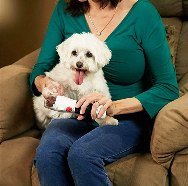 Paw Perfect Pet nail polisher
