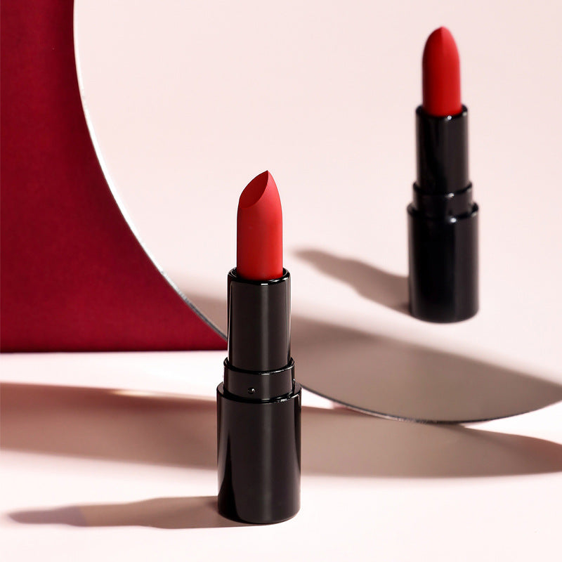 Matte Finish Waterproof Smear-proof Long-lasting Moisturizing Lipstick Kit
