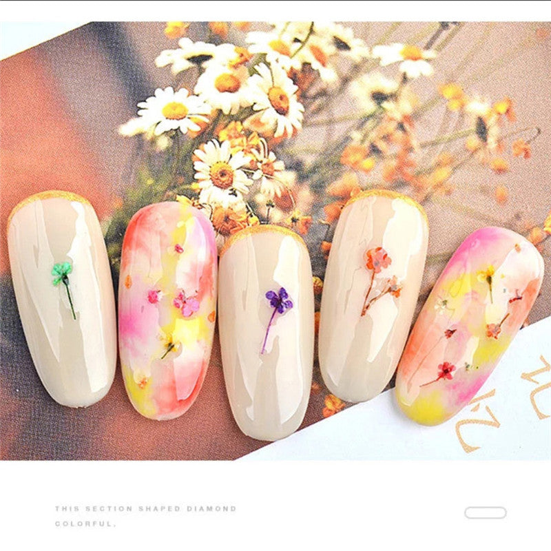 Nail Accessories Handmade DIY Nail Patches With Dried Flowers