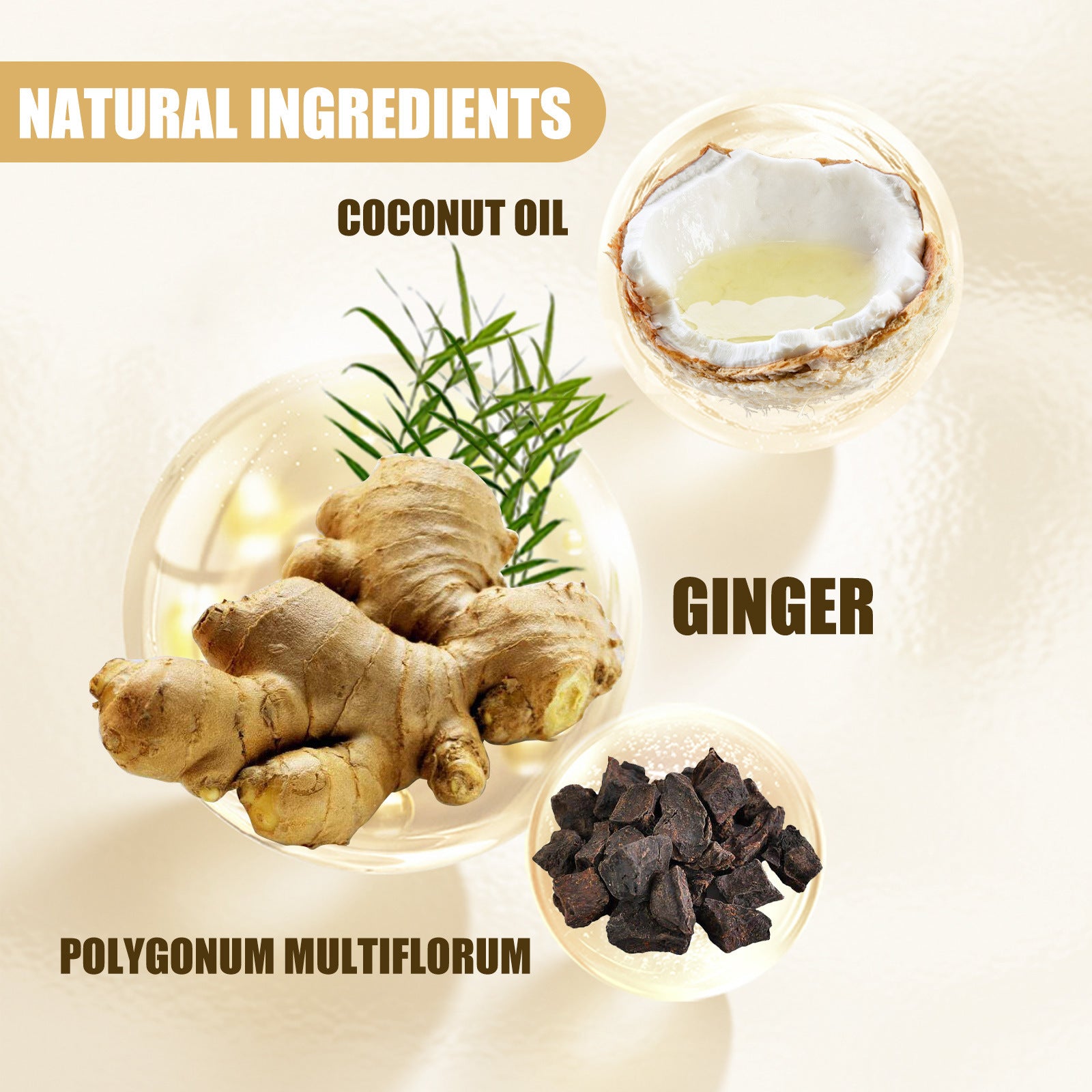 Eelhoe Ginger Strong Hair Nourishing Shampoo