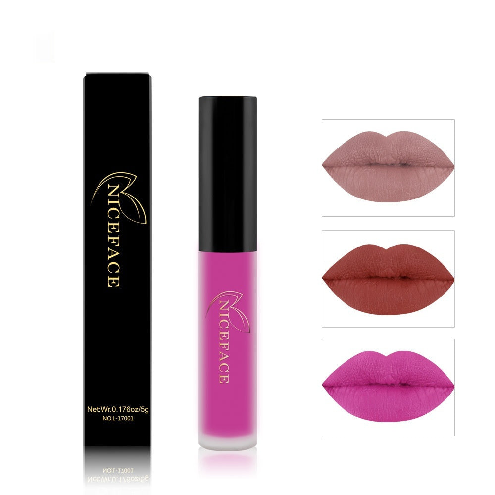 Matte Finish Non-fading Longlasting Lip Gloss Non-nourishing Lipstick
