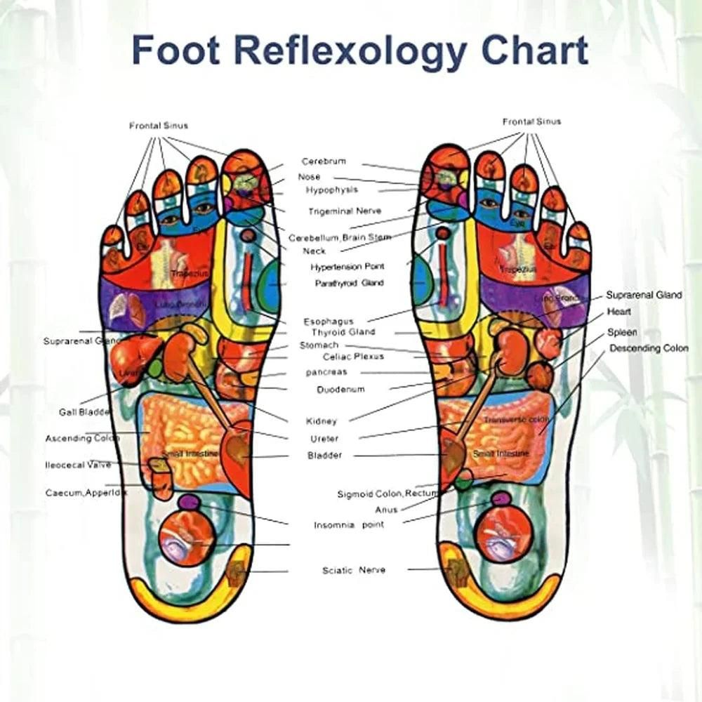 Aliver Natural Detox Foot Pads (Pack of 20)