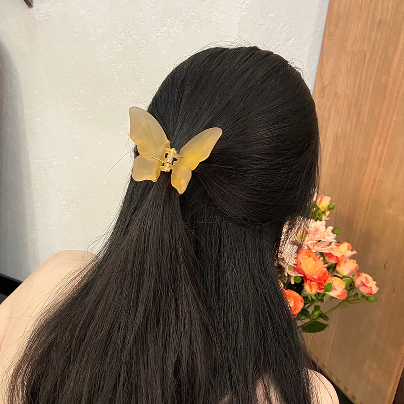 Jelly-colored Elegant Hairpins On The Back Of The Head In Cross Section