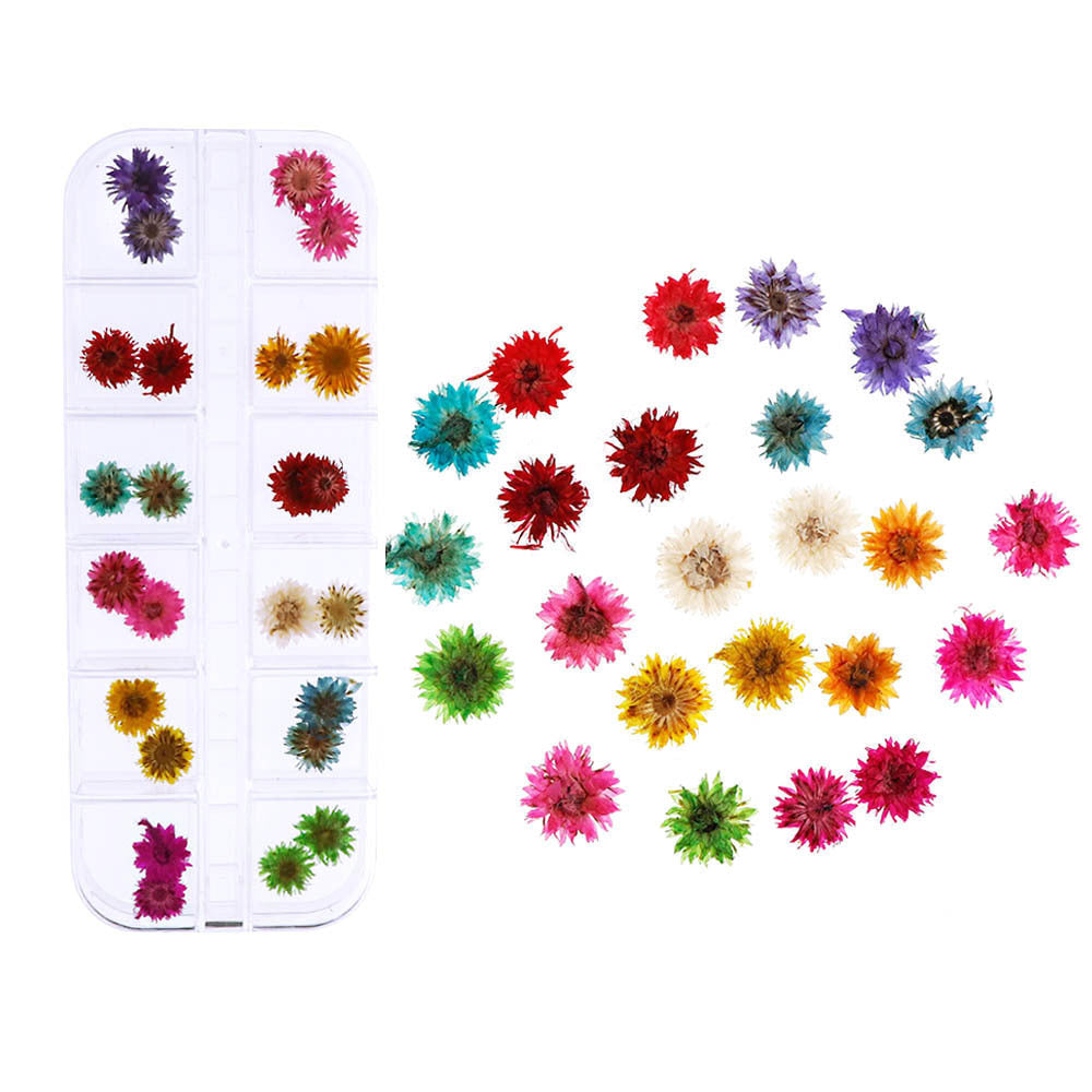 Nail Accessories Handmade DIY Nail Patches With Dried Flowers
