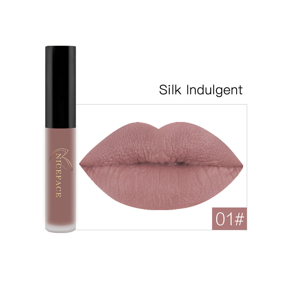 Matte Finish Non-fading Longlasting Lip Gloss Non-nourishing Lipstick