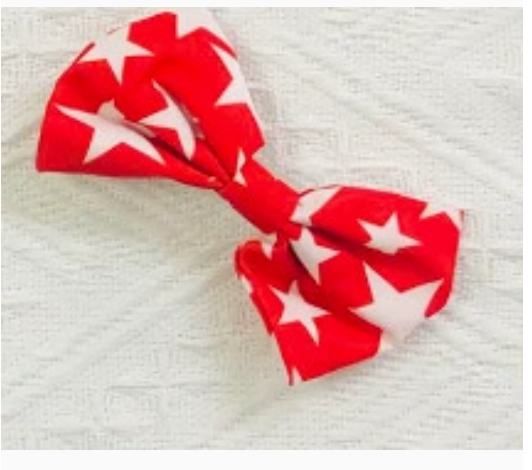 Bow-knot SpringHair Accessories For Children And Adults