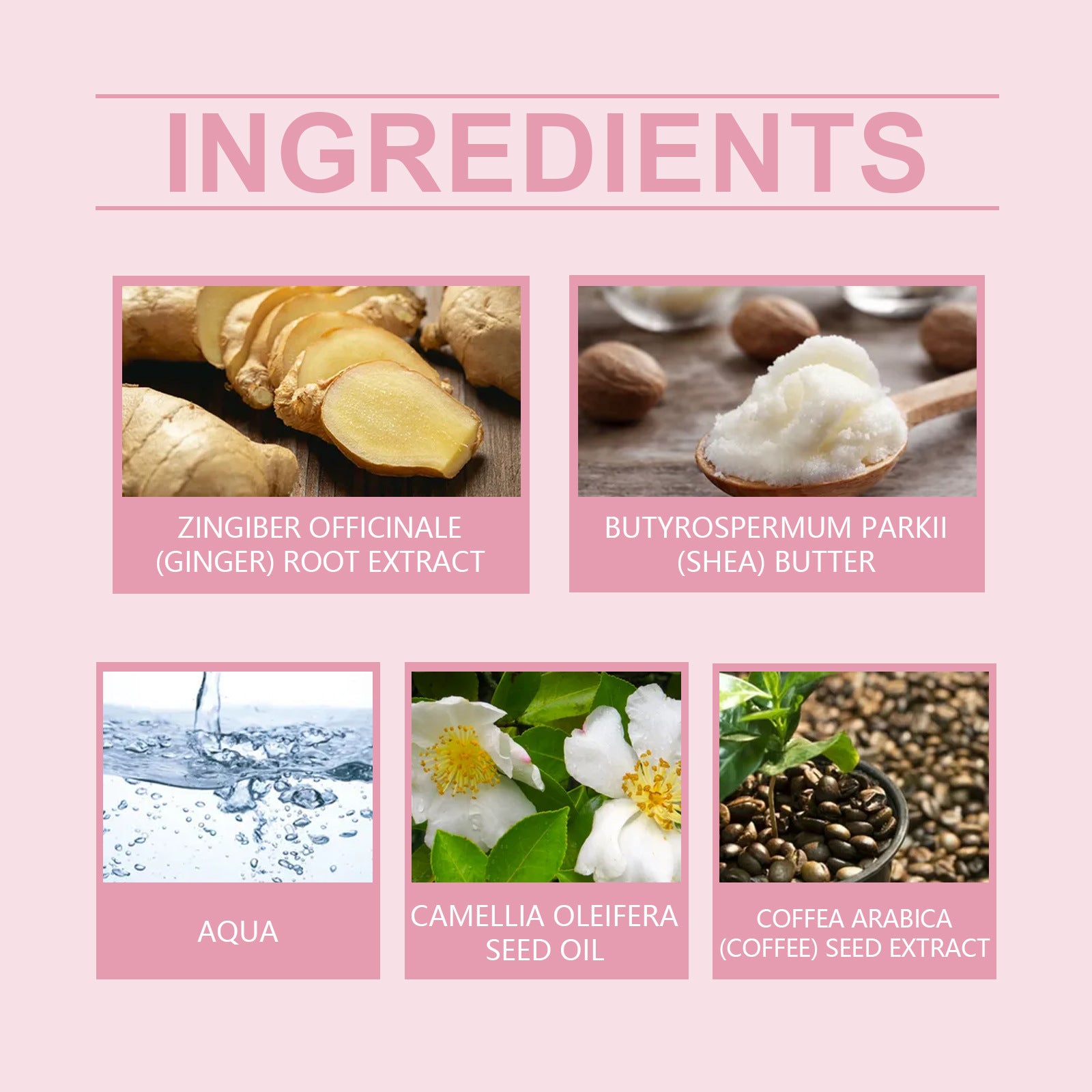 Body Neck Cream Improves Skin