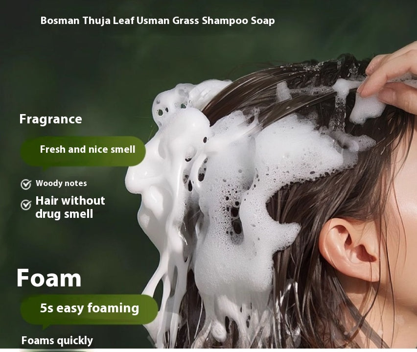 Oil Control And Dandruff Removal Soap Chinese Arborvitae Twig Shampoo
