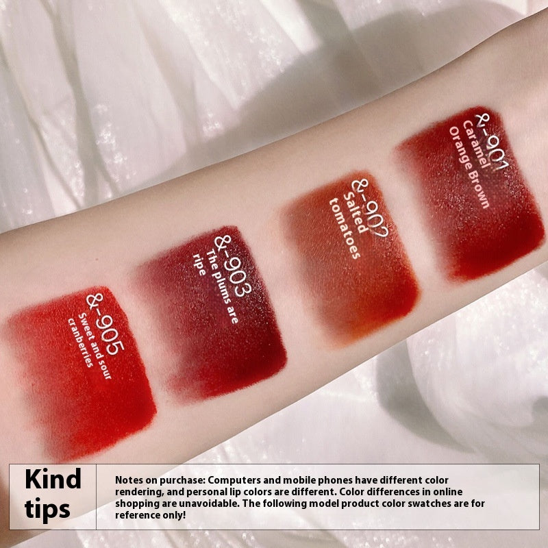 Matte Finish Waterproof Smear-proof Long-lasting Moisturizing Lipstick Kit