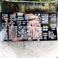 Fashion Nail Printing Plate Portable