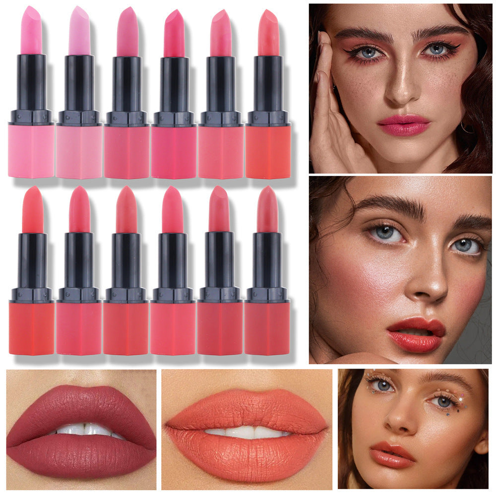 Fashion Student Party Multicolor Nude Lipstick