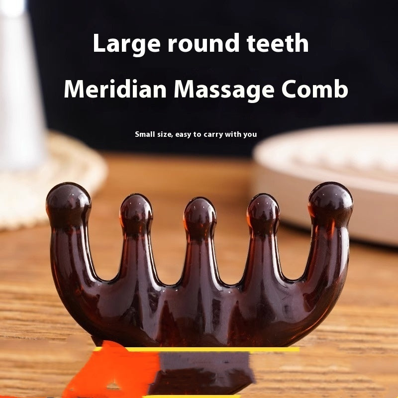 Scalp Massage Comb Head Meridian Dredge Comb
