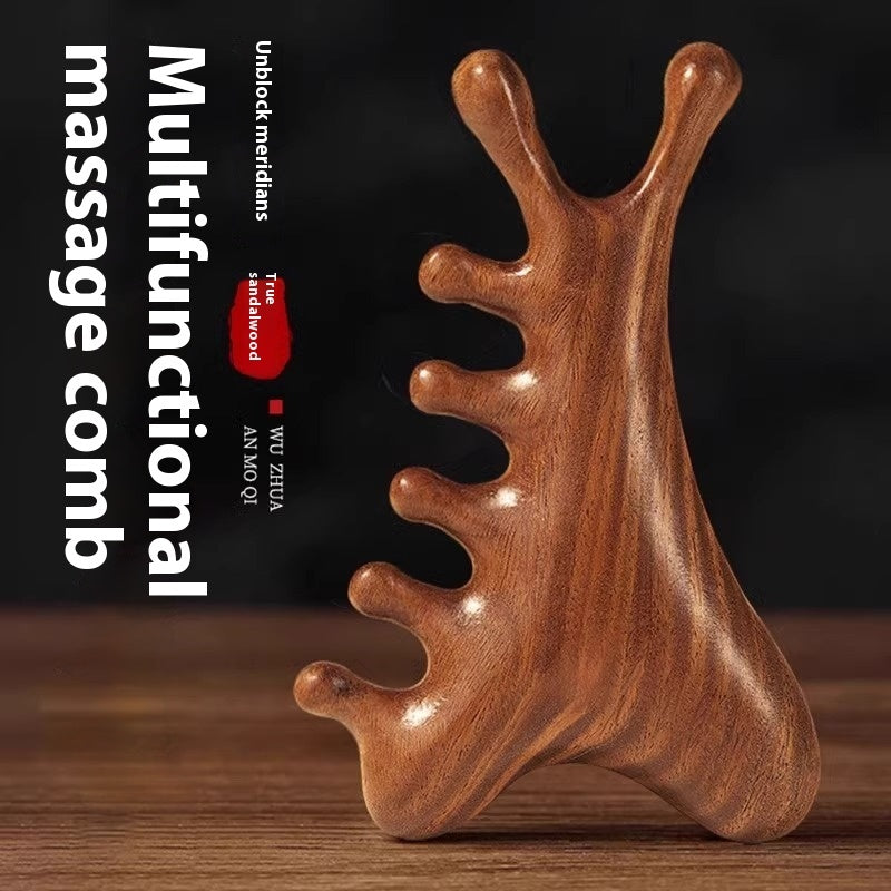 Multifunctional Scalp Massage Comb Head Hair Loss Head Treatment Dredging Meridian Scraping Instrument