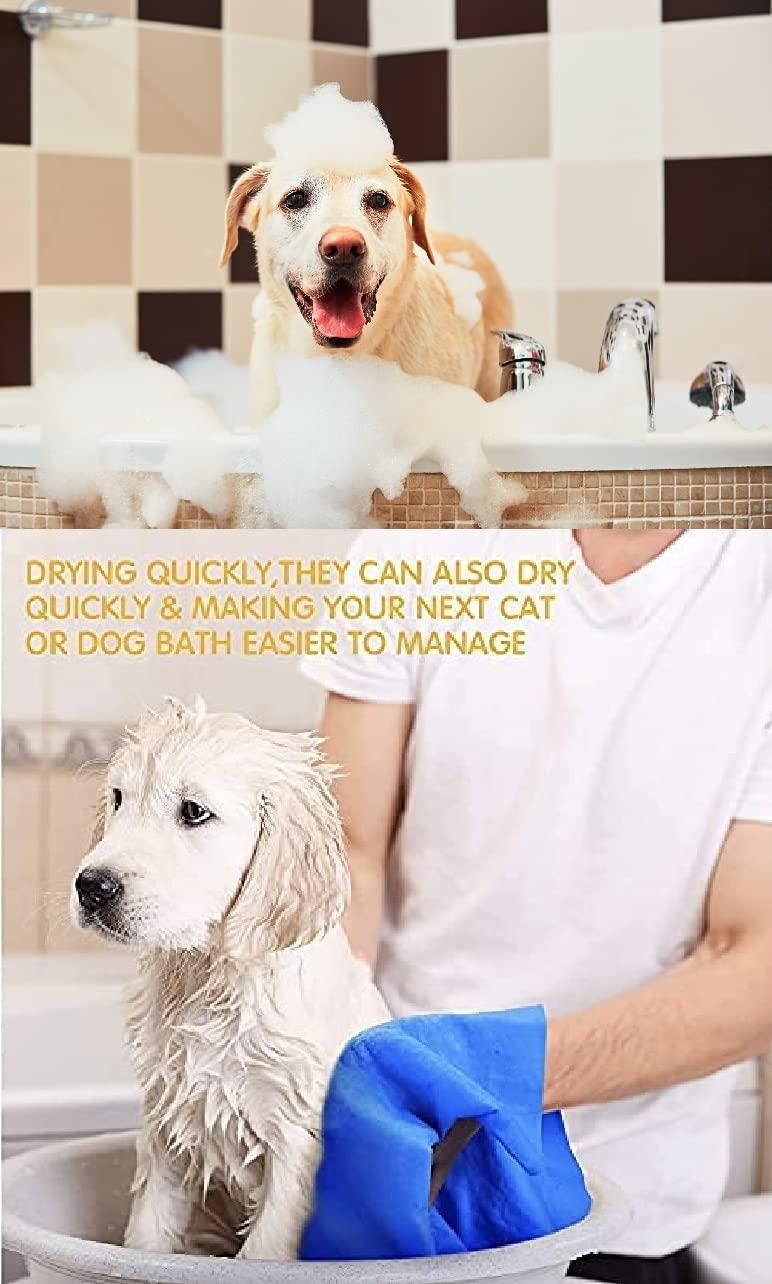 3694