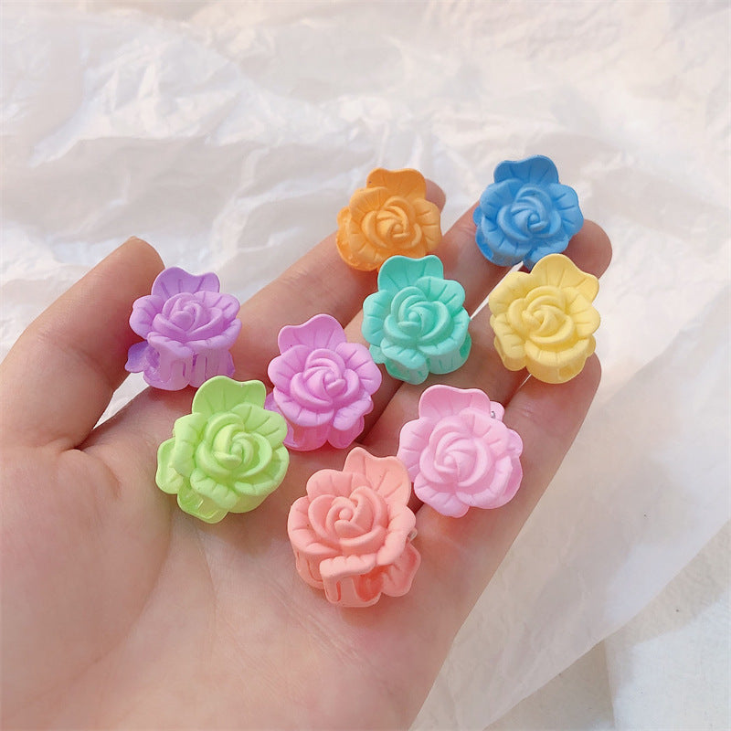 Women's Hair Clip With Frosted Back Of The Head Spoon