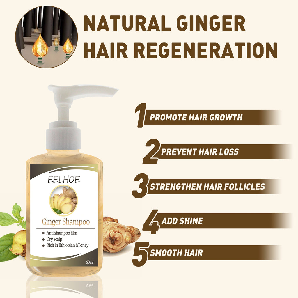 Ginger Anti-dropping Shampoo Oil Control Silky And Moisturizing Hair Roots