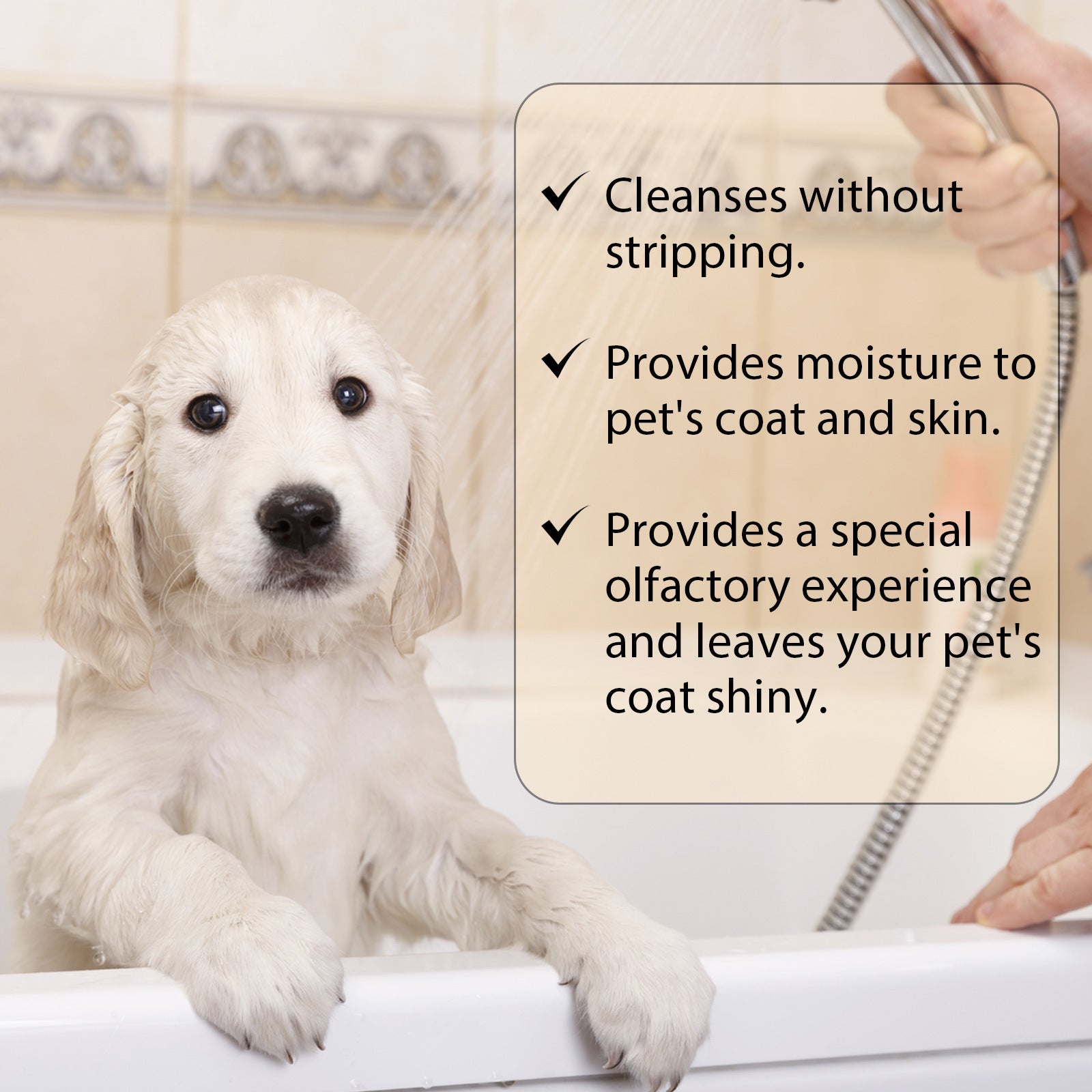 YegBong Pet Shampoo Mild And Clean Pet Cat And Dog Hair Soft And Unknotted Shampoo Shampoo