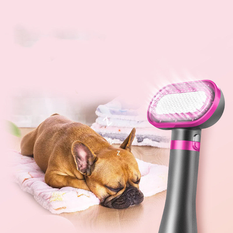 Household Professional Pet Hair Dryer With Hot Air Comb