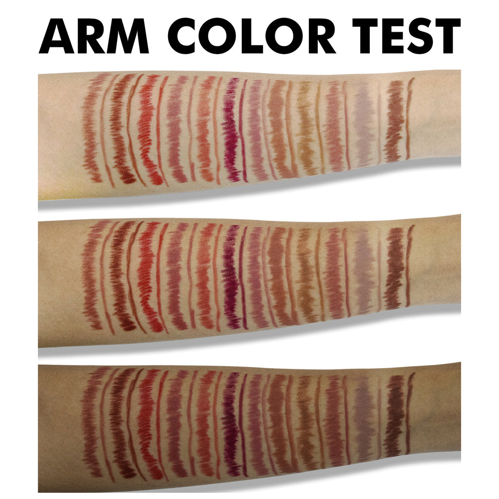 12 Color Matte Lipstick Lip Liner Suit