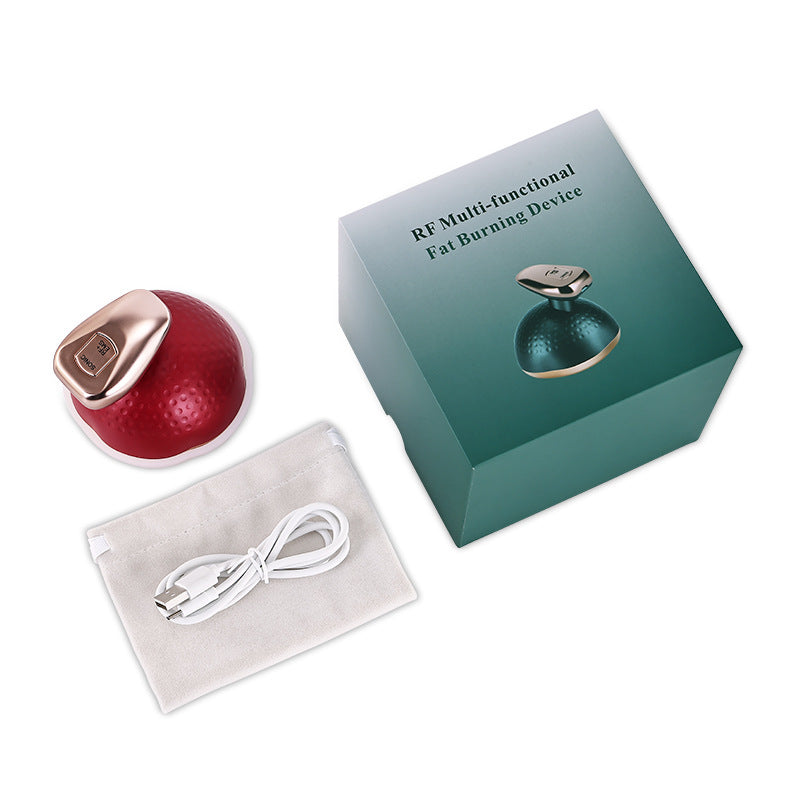 Handheld EMS Micro Current Massage Beauty Instrument