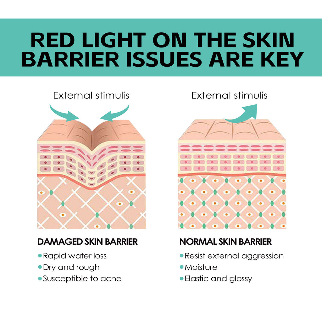 Nourishing Moisturizing Skin Rejuvenation Skin Cream Skin Brightening Whitening Hydrating Easy Absorption Cream