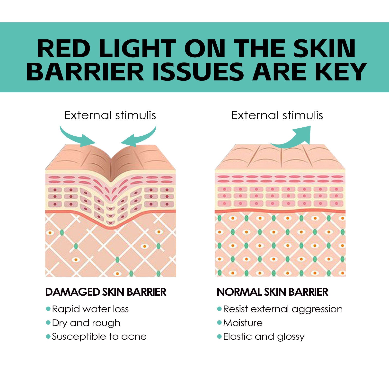 Nourishing Moisturizing Skin Rejuvenation Skin Cream Skin Brightening Whitening Hydrating Easy Absorption Cream